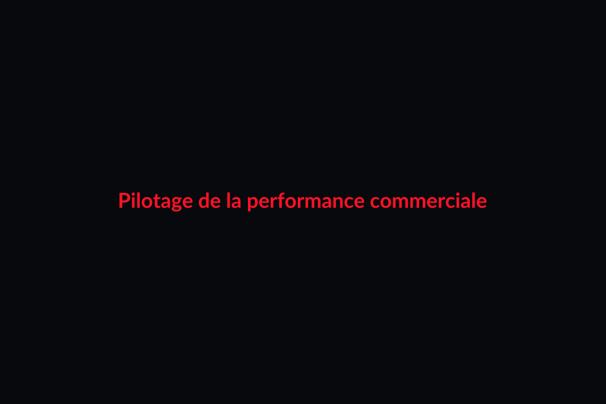Pilotage de la performance commerciale
